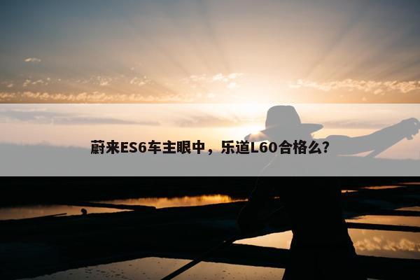 蔚来ES6车主眼中，乐道L60合格么？