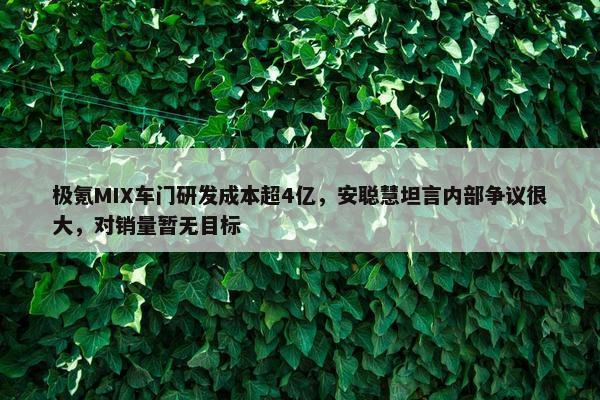 极氪MIX车门研发成本超4亿，安聪慧坦言内部争议很大，对销量暂无目标