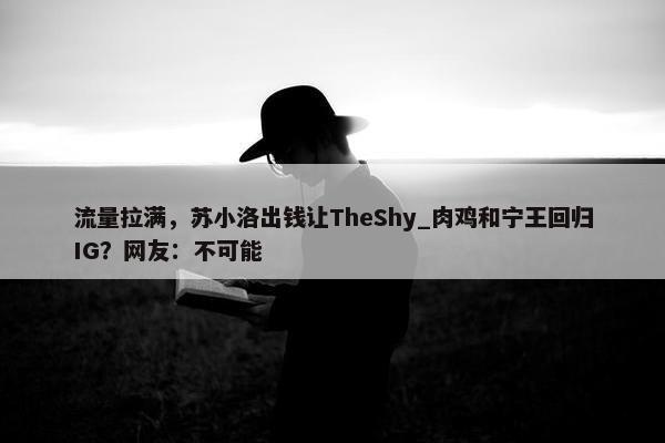 流量拉满，苏小洛出钱让TheShy_肉鸡和宁王回归IG？网友：不可能