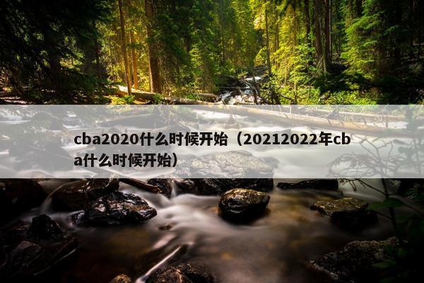 cba2020什么时候开始（20212022年cba什么时候开始）