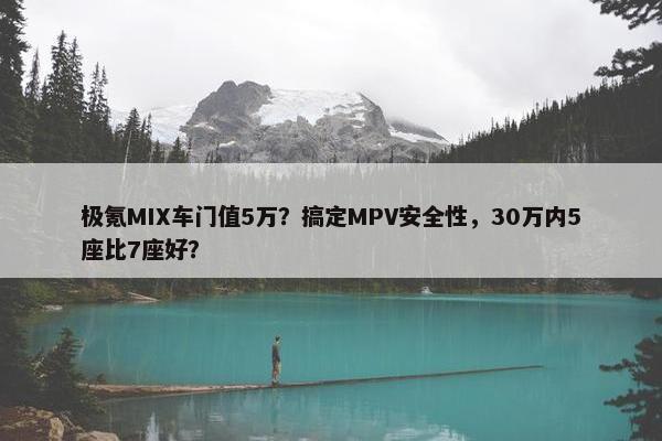 极氪MIX车门值5万？搞定MPV安全性，30万内5座比7座好？