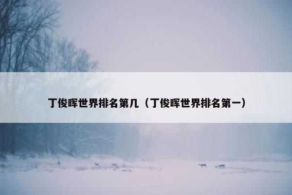 丁俊晖世界排名第几（丁俊晖世界排名第一）