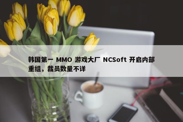 韩国第一 MMO 游戏大厂 NCSoft 开启内部重组，裁员数量不详