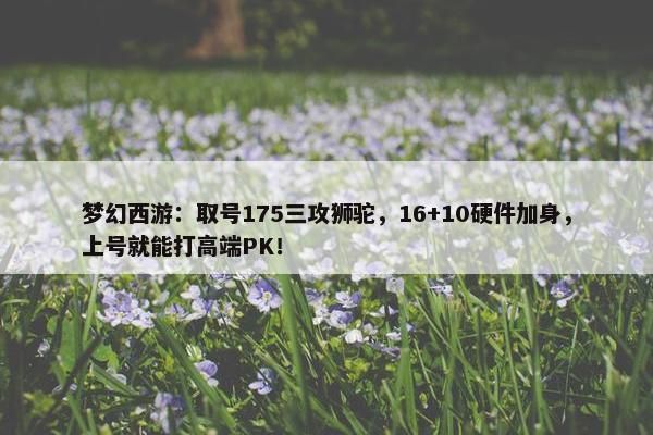 梦幻西游：取号175三攻狮驼，16+10硬件加身，上号就能打高端PK！