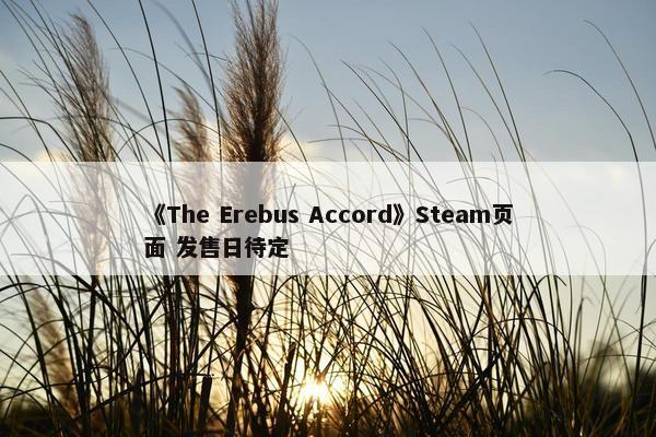 《The Erebus Accord》Steam页面 发售日待定