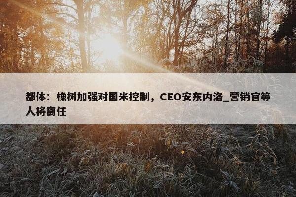 都体：橡树加强对国米控制，CEO安东内洛_营销官等人将离任