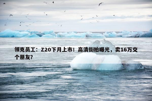 领克员工：Z20下月上市！高清街拍曝光，卖16万交个朋友？