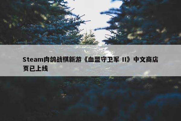 Steam肉鸽战棋新游《血盟守卫军 II》中文商店页已上线