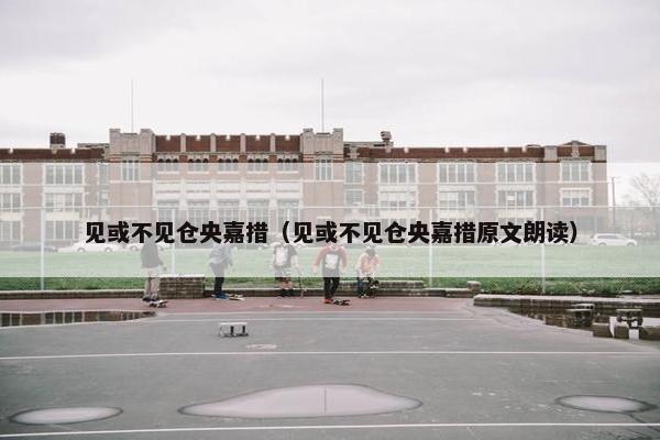 见或不见仓央嘉措（见或不见仓央嘉措原文朗读）