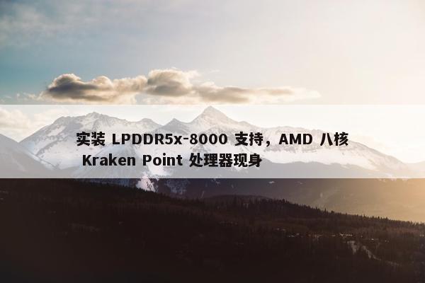 实装 LPDDR5x-8000 支持，AMD 八核 Kraken Point 处理器现身