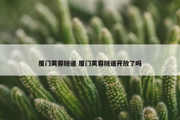 厦门芙蓉隧道 厦门芙蓉隧道开放了吗