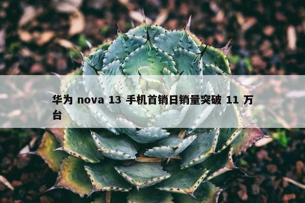 华为 nova 13 手机首销日销量突破 11 万台