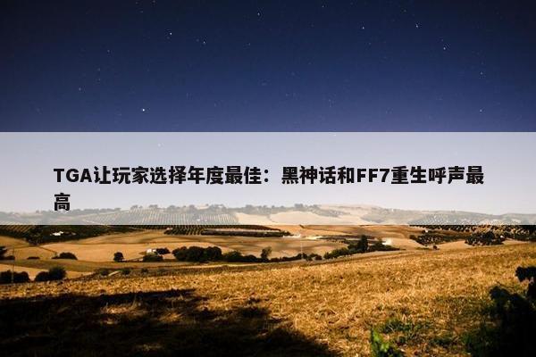 TGA让玩家选择年度最佳：黑神话和FF7重生呼声最高