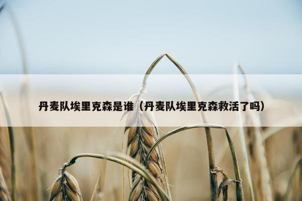 丹麦队埃里克森是谁（丹麦队埃里克森救活了吗）