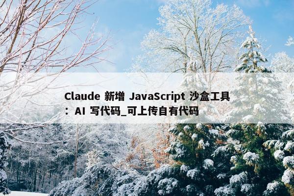 Claude 新增 JavaScript 沙盒工具：AI 写代码_可上传自有代码