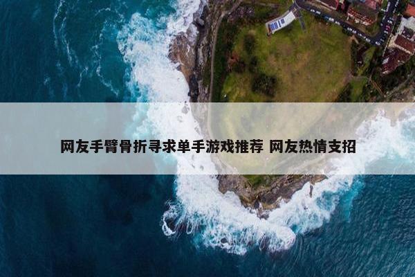 网友手臂骨折寻求单手游戏推荐 网友热情支招