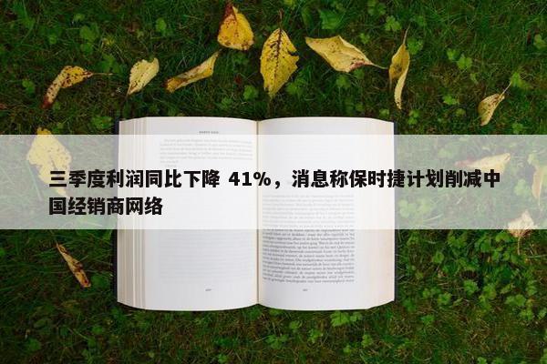 三季度利润同比下降 41%，消息称保时捷计划削减中国经销商网络