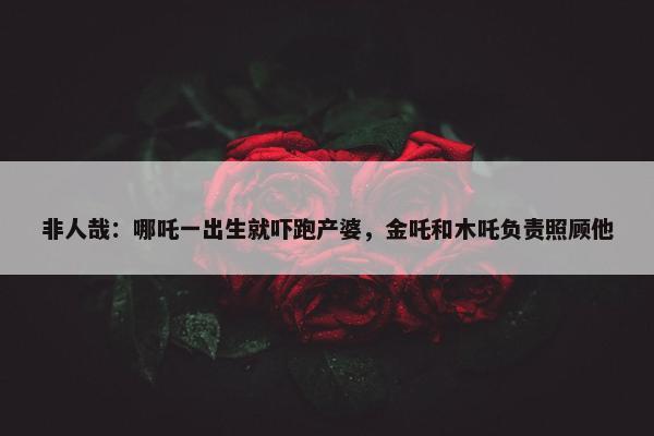 非人哉：哪吒一出生就吓跑产婆，金吒和木吒负责照顾他