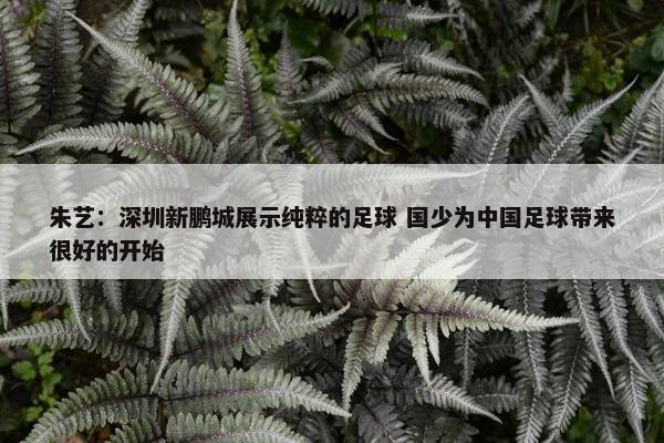 朱艺：深圳新鹏城展示纯粹的足球 国少为中国足球带来很好的开始