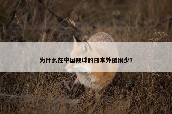 为什么在中国踢球的日本外援很少？