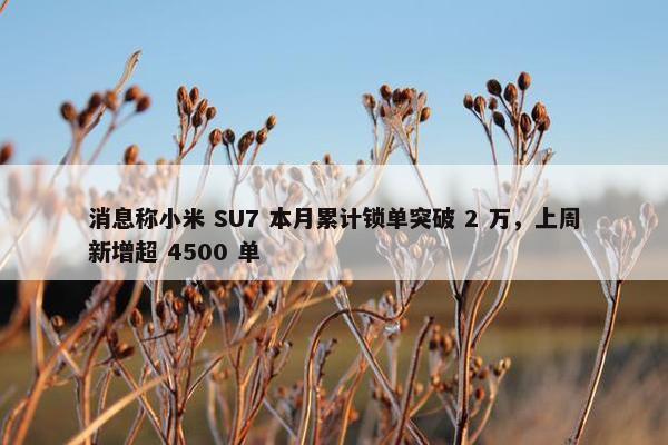 消息称小米 SU7 本月累计锁单突破 2 万，上周新增超 4500 单