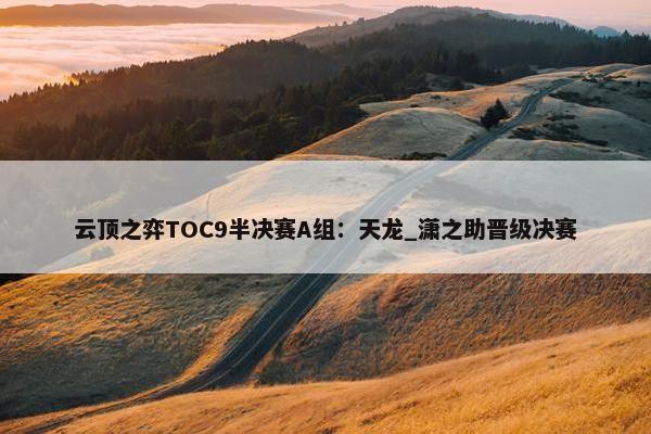 云顶之弈TOC9半决赛A组：天龙_潇之助晋级决赛