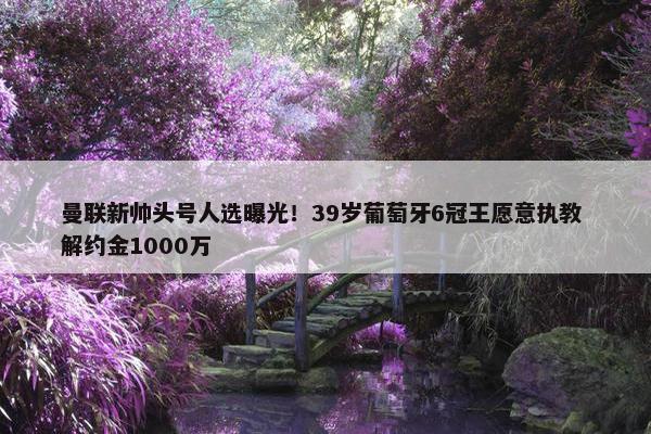 曼联新帅头号人选曝光！39岁葡萄牙6冠王愿意执教 解约金1000万