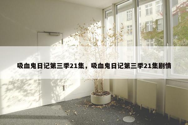 吸血鬼日记第三季21集，吸血鬼日记第三季21集剧情