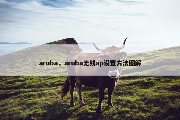 aruba，aruba无线ap设置方法图解