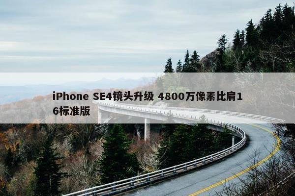 iPhone SE4镜头升级 4800万像素比肩16标准版