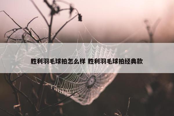 胜利羽毛球拍怎么样 胜利羽毛球拍经典款