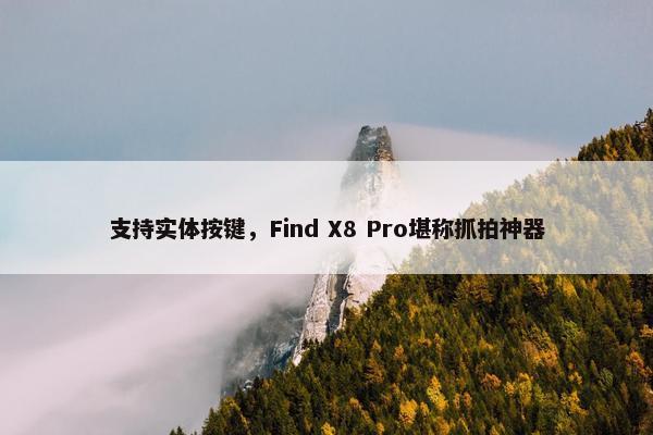 支持实体按键，Find X8 Pro堪称抓拍神器