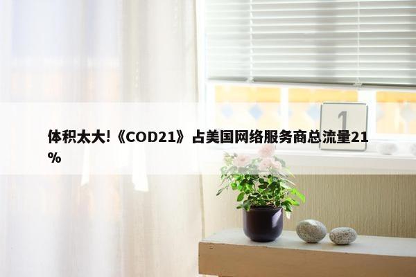 体积太大!《COD21》占美国网络服务商总流量21%