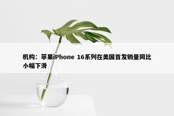 机构：苹果iPhone 16系列在美国首发销量同比小幅下滑