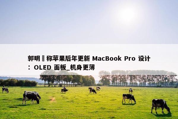 郭明錤称苹果后年更新 MacBook Pro 设计：OLED 面板_机身更薄