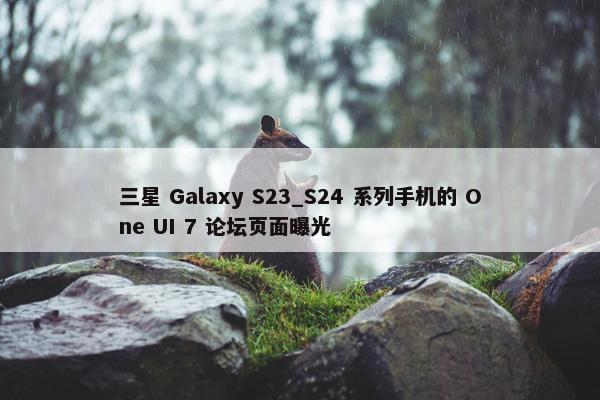 三星 Galaxy S23_S24 系列手机的 One UI 7 论坛页面曝光