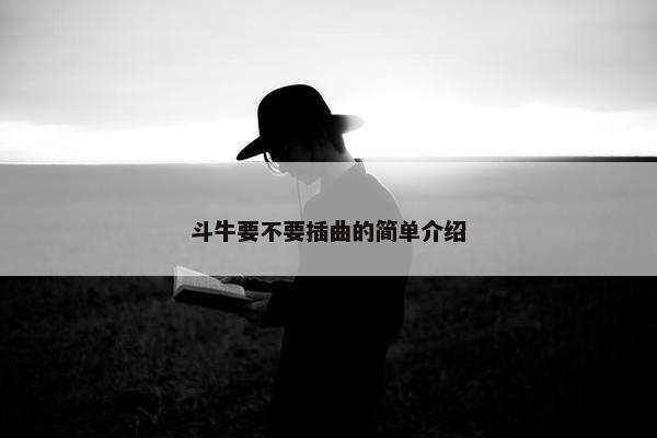 斗牛要不要插曲的简单介绍