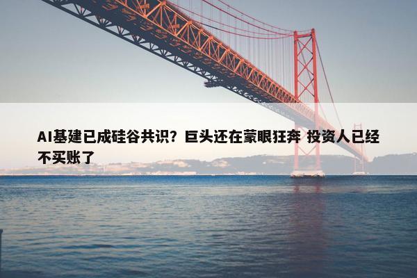 AI基建已成硅谷共识？巨头还在蒙眼狂奔 投资人已经不买账了