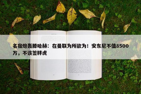 名宿炮轰滕哈赫：在曼联为所欲为！安东尼不值8500万，不该签胖虎