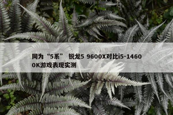 同为“5系” 锐龙5 9600X对比i5-14600K游戏表现实测