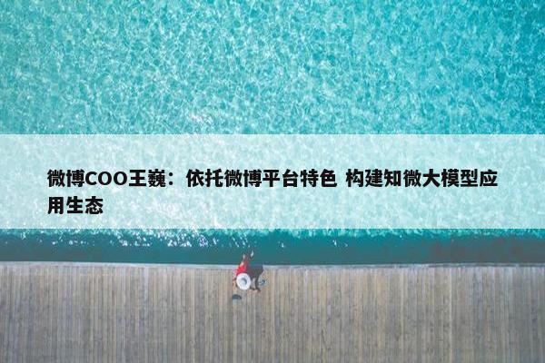 微博COO王巍：依托微博平台特色 构建知微大模型应用生态