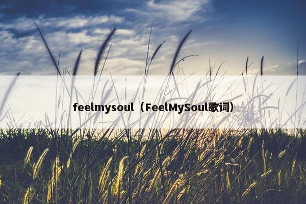 feelmysoul（FeelMySoul歌词）