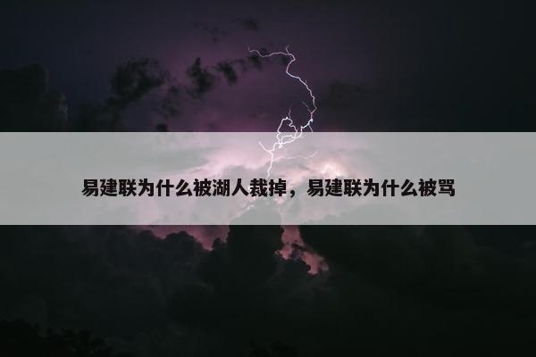 易建联为什么被湖人裁掉，易建联为什么被骂