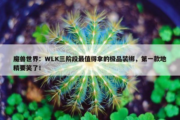 魔兽世界：WLK三阶段最值得拿的极品装绑，第一款地精要笑了！