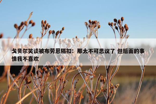 戈贝尔笑谈被布劳恩隔扣：那太不可思议了 但后面的事情我不喜欢