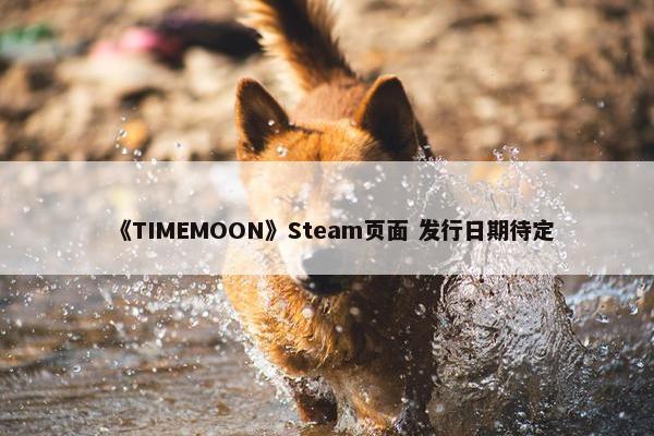 《TIMEMOON》Steam页面 发行日期待定