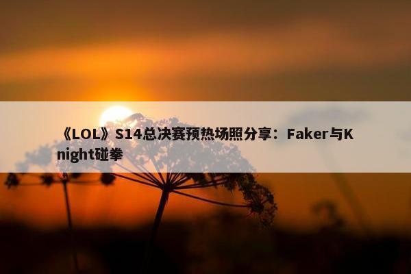 《LOL》S14总决赛预热场照分享：Faker与Knight碰拳