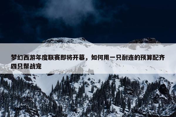 梦幻西游年度联赛即将开幕，如何用一只耐连的预算配齐四只帮战宠