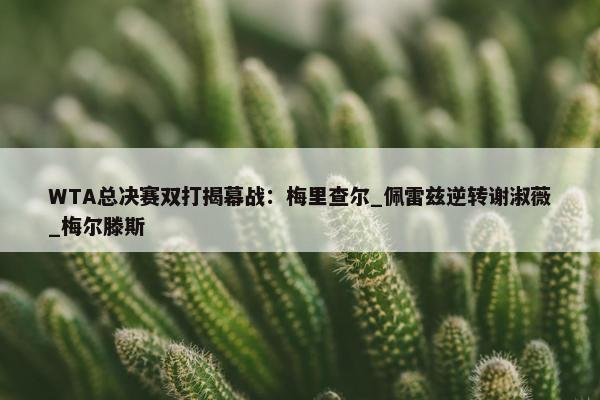 WTA总决赛双打揭幕战：梅里查尔_佩雷兹逆转谢淑薇_梅尔滕斯