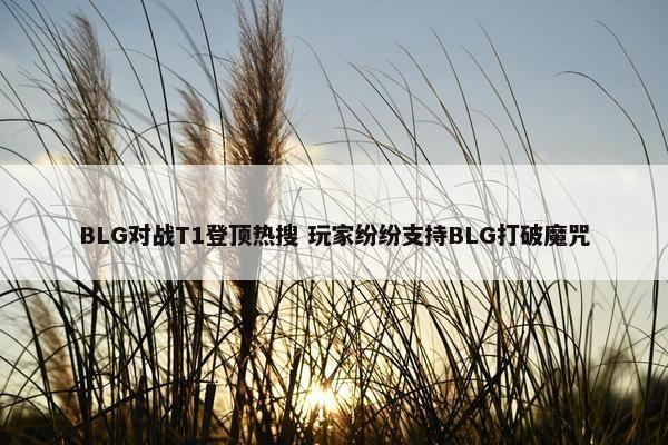 BLG对战T1登顶热搜 玩家纷纷支持BLG打破魔咒